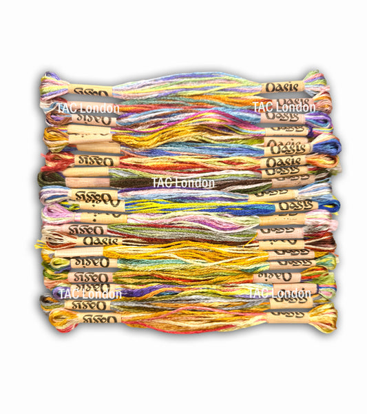 Pack of 20 Multi Variegated Large Art Silk Skeins Stranded Multi Coloured Embroidery Threads