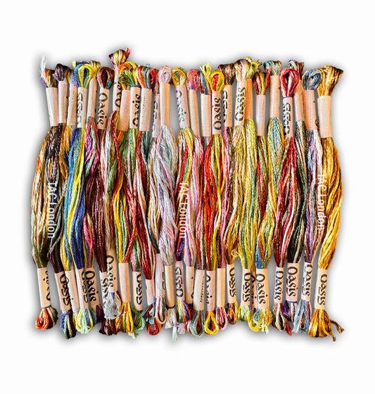 Pack of 25 Multi Variegated Large Art Silk Skeins Stranded Multi Coloured Embroidery Threads