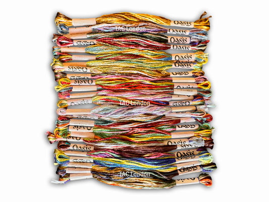 Pack of 25 Multi Variegated Large Art Silk Skeins Stranded Multi Coloured Embroidery Threads
